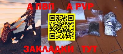 гашик Кингисепп