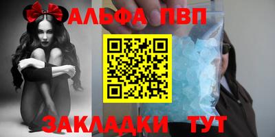 гашик Кингисепп