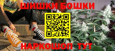 гашик Кингисепп