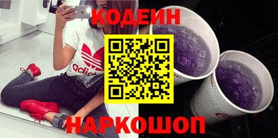 гашик Кингисепп