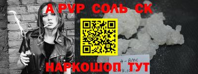 гашик Кингисепп
