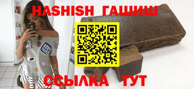 гашик Кингисепп