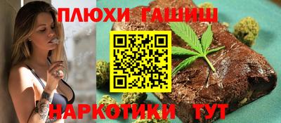 гашик Кингисепп