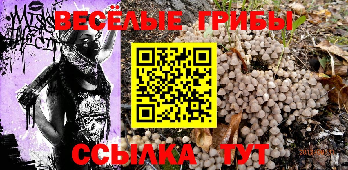 Краснодар  Галлюциногенные грибы Cubensis  Вход с VPN 